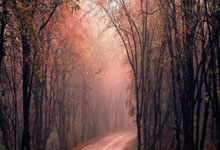 1937亿件!2024年邮政快递“成绩单”出炉.