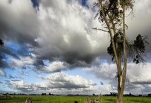 w88win优德：[NBA]库里持球单打 骑马射箭抛投三分命中.