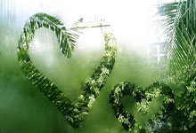 优德88：2021賽季亞洲冠軍聯賽小組分組.