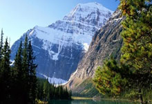 从上班族到胶东花饽饽面点师 任晓升把“非遗”揉出了新花样.