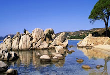 足協杯1/8決賽山東魯能2-0浙江綠城 2替補破門+僥幸逃點.